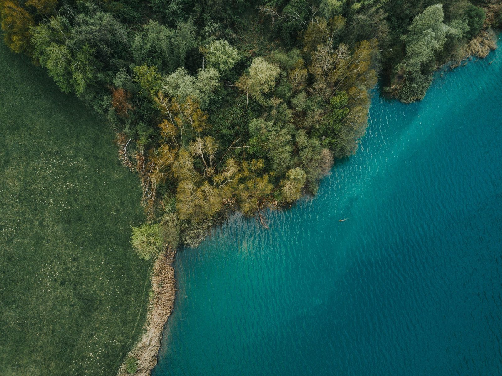 Overhead view of trees and grass beside clear turquoise water