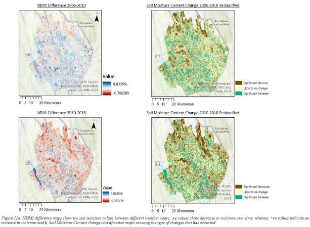 Mapping from the Trysil boreal forest study